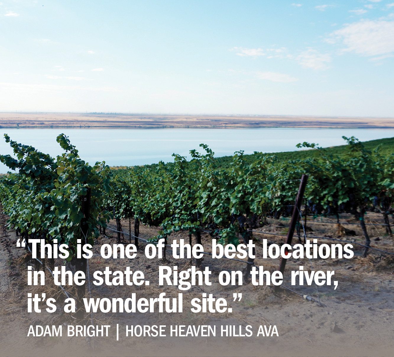 Adam Bright quote Horse Heaven Hills AVA